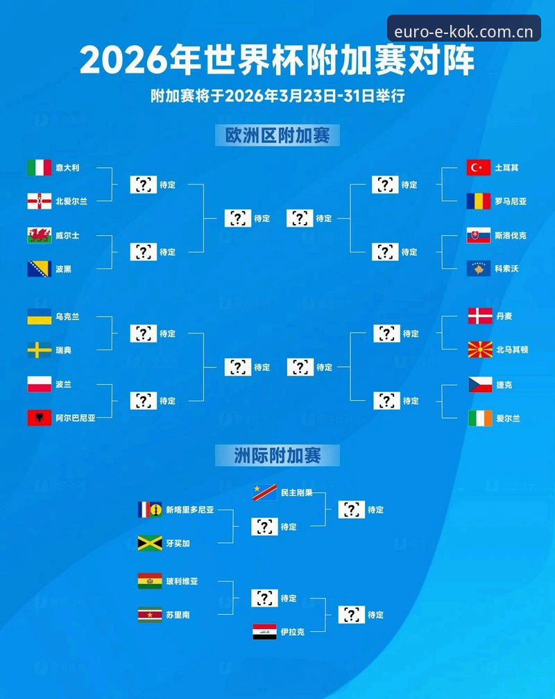 2024世界杯观赛签证难题应对指南：在kok中欧平台获取赛事资讯与体验